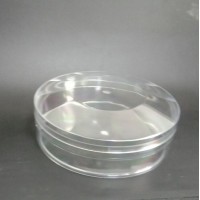 PS plastic waterproof plastic box for ice cake making